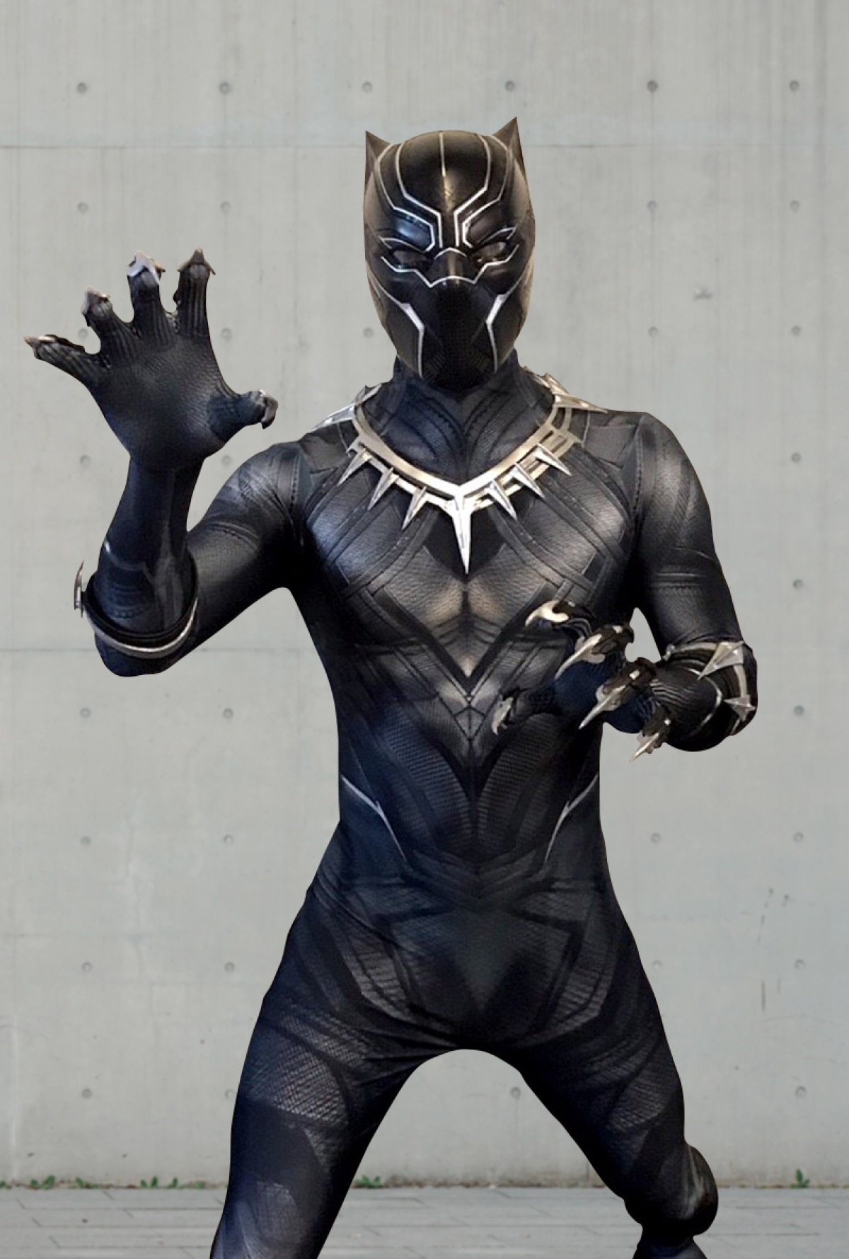 Black Panther party character